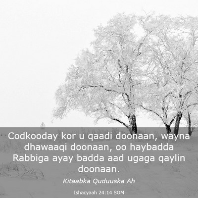 Picture 03 - Ishacyaah 24:14 SOM - Codkooday kor u qaadi doonaan, wayna dhawaaqi - Bible Verse Picture