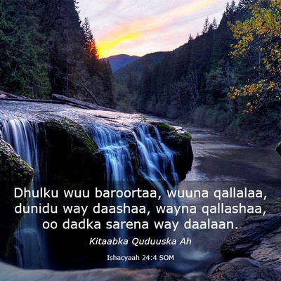 Picture 03 - Ishacyaah 24:4 SOM - Dhulku wuu baroortaa, wuuna qallalaa, dunidu way - Bible Verse Picture