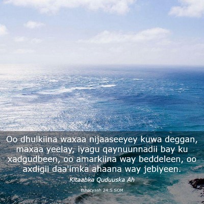 Picture 03 - Ishacyaah 24:5 SOM - Oo dhulkiina waxaa nijaaseeyey kuwa deggan, maxaa - Bible Verse Picture
