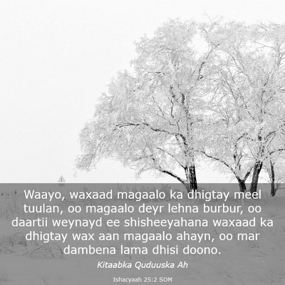 Picture 03 - Ishacyaah 25:2 SOM - Waayo, waxaad magaalo ka dhigtay meel tuulan, oo - Bible Verse Picture