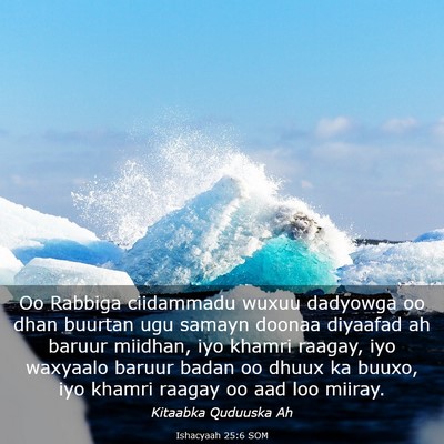 Picture 03 - Ishacyaah 25:6 SOM - Oo Rabbiga ciidammadu wuxuu dadyowga oo dhan - Bible Verse Picture