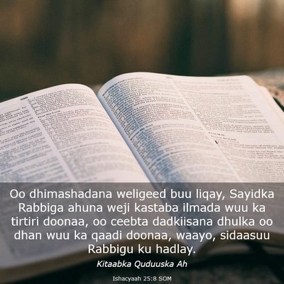 Picture 03 - Ishacyaah 25:8 SOM - Oo dhimashadana weligeed buu liqay, Sayidka - Bible Verse Picture