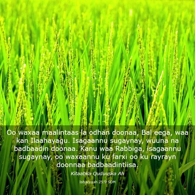 Picture 03 - Ishacyaah 25:9 SOM - Oo waxaa maalintaas la odhan doonaa, Bal eega, - Bible Verse Picture