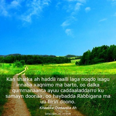Picture 03 - Ishacyaah 26:10 SOM - Kan sharka ah haddii raalli laga noqdo isagu - Bible Verse Picture