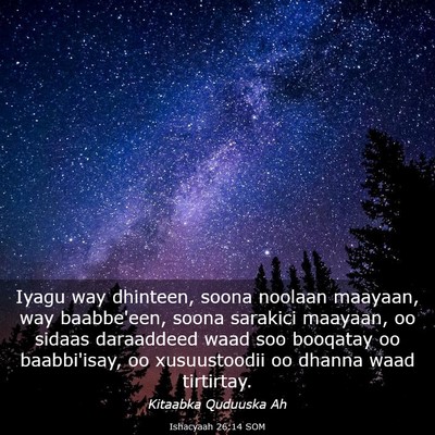 Picture 03 - Ishacyaah 26:14 SOM - Iyagu way dhinteen, soona noolaan maayaan, way - Bible Verse Picture
