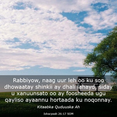 Picture 03 - Ishacyaah 26:17 SOM - Rabbiyow, naag uur leh oo ku soo dhowaatay - Bible Verse Picture