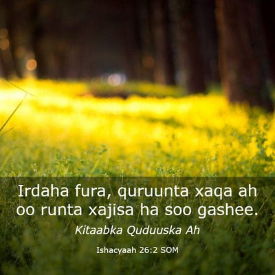 Picture 03 - Ishacyaah 26:2 SOM - Irdaha fura, quruunta xaqa ah oo runta xajisa ha - Bible Verse Picture