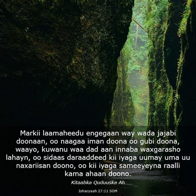 Picture 03 - Ishacyaah 27:11 SOM - Markii laamaheedu engegaan way wada jajabi - Bible Verse Picture