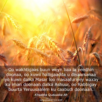 Picture 03 - Ishacyaah 27:13 SOM - Oo wakhtigaas buun weyn baa la yeedhin doonaa, oo - Bible Verse Picture