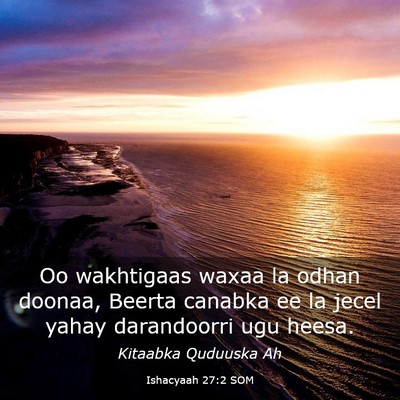 Picture 03 - Ishacyaah 27:2 SOM - Oo wakhtigaas waxaa la odhan doonaa, Beerta - Bible Verse Picture