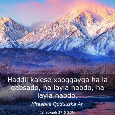 Picture 03 - Ishacyaah 27:5 SOM - Haddii kalese xooggayga ha la qabsado, ha layla - Bible Verse Picture