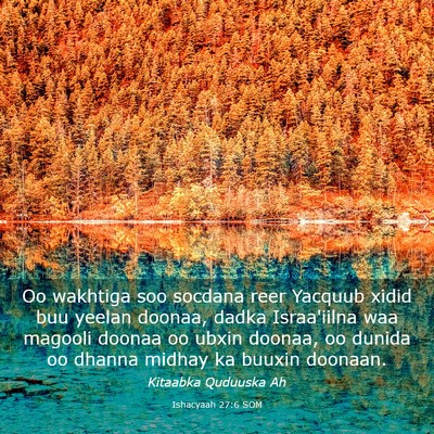 Picture 03 - Ishacyaah 27:6 SOM - Oo wakhtiga soo socdana reer Yacquub xidid buu - Bible Verse Picture