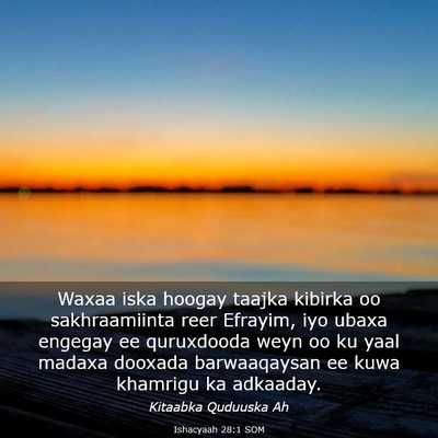 Picture 03 - Ishacyaah 28:1 SOM - Waxaa iska hoogay taajka kibirka oo sakhraamiinta - Bible Verse Picture