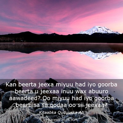 Picture 03 - Ishacyaah 28:24 SOM - Kan beerta jeexa miyuu had iyo goorba beerta u - Bible Verse Picture