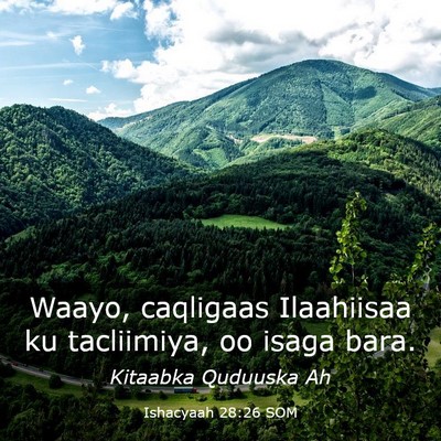 Picture 03 - Ishacyaah 28:26 SOM - Waayo, caqligaas Ilaahiisaa ku tacliimiya, oo - Bible Verse Picture