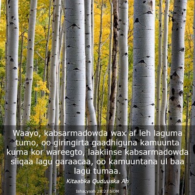 Picture 03 - Ishacyaah 28:27 SOM - Waayo, kabsarmadowda wax af leh laguma tumo, oo - Bible Verse Picture