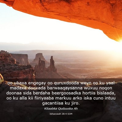 Picture 03 - Ishacyaah 28:4 SOM - oo ubaxa engegay oo quruxdooda weyn oo ku yaal - Bible Verse Picture