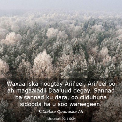 Picture 03 - Ishacyaah 29:1 SOM - Waxaa iska hoogtay Arii'eel, Arii'eel oo ah - Bible Verse Picture