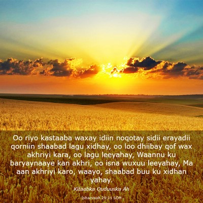 Picture 03 - Ishacyaah 29:11 SOM - Oo riyo kastaaba waxay idiin noqotay sidii - Bible Verse Picture