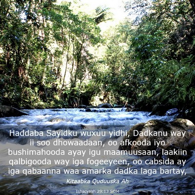 Picture 03 - Ishacyaah 29:13 SOM - Haddaba Sayidku wuxuu yidhi, Dadkanu way ii soo - Bible Verse Picture