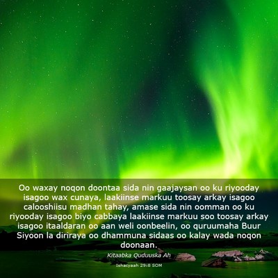 Picture 03 - Ishacyaah 29:8 SOM - Oo waxay noqon doontaa sida nin gaajaysan oo ku - Bible Verse Picture