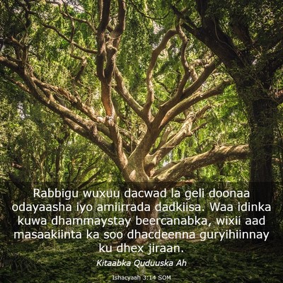 Picture 03 - Ishacyaah 3:14 SOM - Rabbigu wuxuu dacwad la geli doonaa odayaasha iyo - Bible Verse Picture