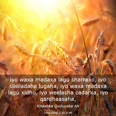 Picture 03 - Ishacyaah 3:20 SOM - iyo waxa madaxa lagu sharraxo, iyo silsiladaha - Bible Verse Picture