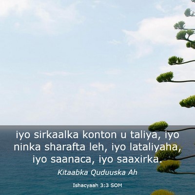 Picture 03 - Ishacyaah 3:3 SOM - iyo sirkaalka konton u taliya, iyo ninka sharafta - Bible Verse Picture