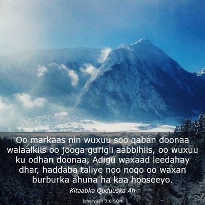 Picture 03 - Ishacyaah 3:6 SOM - Oo markaas nin wuxuu soo qaban doonaa walaalkiis - Bible Verse Picture