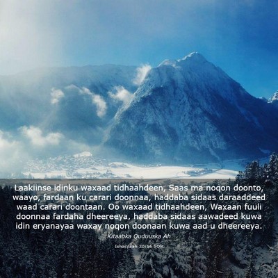 Picture 03 - Ishacyaah 30:16 SOM - Laakiinse idinku waxaad tidhaahdeen, Saas ma - Bible Verse Picture