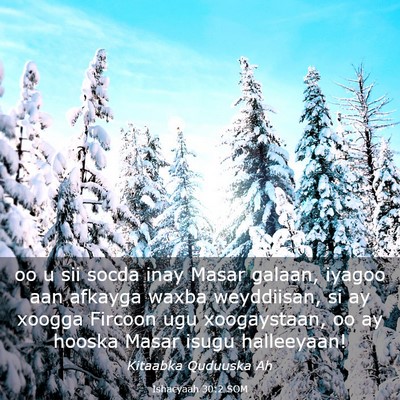 Picture 03 - Ishacyaah 30:2 SOM - oo u sii socda inay Masar galaan, iyagoo aan - Bible Verse Picture
