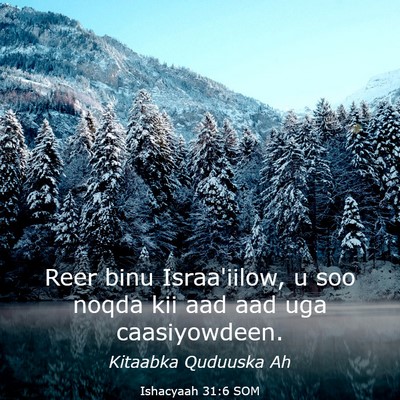 Picture 03 - Ishacyaah 31:6 SOM - Reer binu Israa'iilow, u soo noqda kii aad aad - Bible Verse Picture