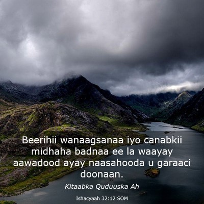 Picture 03 - Ishacyaah 32:12 SOM - Beerihii wanaagsanaa iyo canabkii midhaha badnaa - Bible Verse Picture