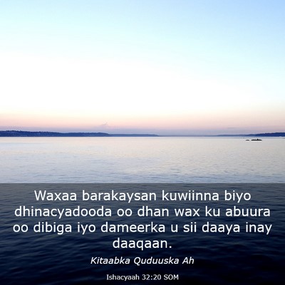 Picture 03 - Ishacyaah 32:20 SOM - Waxaa barakaysan kuwiinna biyo dhinacyadooda oo - Bible Verse Picture