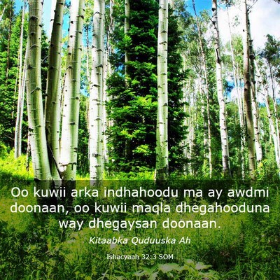 Picture 03 - Ishacyaah 32:3 SOM - Oo kuwii arka indhahoodu ma ay awdmi doonaan, oo - Bible Verse Picture