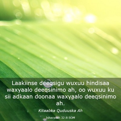 Picture 03 - Ishacyaah 32:8 SOM - Laakiinse deeqsigu wuxuu hindisaa waxyaalo - Bible Verse Picture