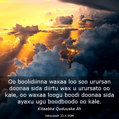 Picture 03 - Ishacyaah 33:4 SOM - Oo boolidiinna waxaa loo soo urursan doonaa sida - Bible Verse Picture