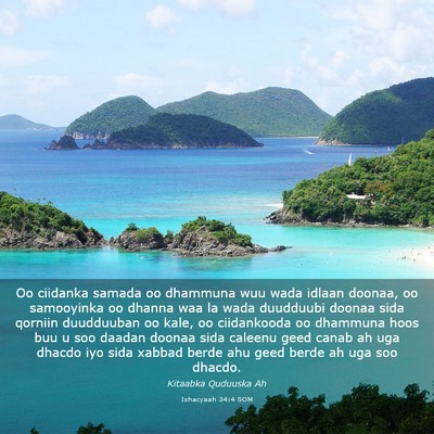 Picture 03 - Ishacyaah 34:4 SOM - Oo ciidanka samada oo dhammuna wuu wada idlaan - Bible Verse Picture