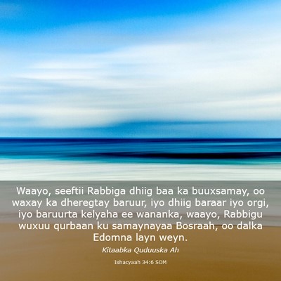 Picture 03 - Ishacyaah 34:6 SOM - Waayo, seeftii Rabbiga dhiig baa ka buuxsamay, oo - Bible Verse Picture