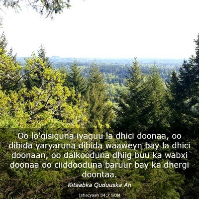 Picture 03 - Ishacyaah 34:7 SOM - Oo lo'gisiguna iyaguu la dhici doonaa, oo dibida - Bible Verse Picture