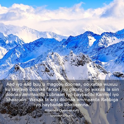 Picture 03 - Ishacyaah 35:2 SOM - Aad iyo aad buu u magooli doonaa, oo xataa wuxuu - Bible Verse Picture
