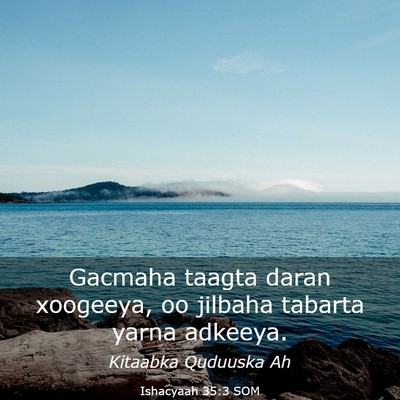 Picture 03 - Ishacyaah 35:3 SOM - Gacmaha taagta daran xoogeeya, oo jilbaha tabarta - Bible Verse Picture
