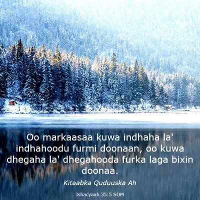 Picture 03 - Ishacyaah 35:5 SOM - Oo markaasaa kuwa indhaha la' indhahoodu furmi - Bible Verse Picture