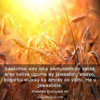 Picture 03 - Ishacyaah 36:21 SOM - Laakiinse way iska aamuseen oo xataa eray keliya - Bible Verse Picture