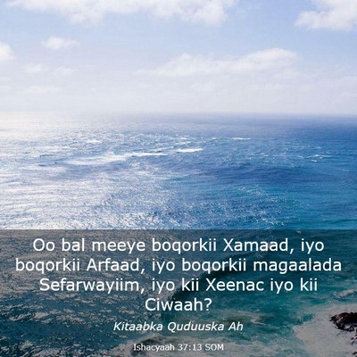 Picture 03 - Ishacyaah 37:13 SOM - Oo bal meeye boqorkii Xamaad, iyo boqorkii - Bible Verse Picture