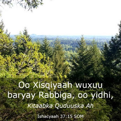 Picture 03 - Ishacyaah 37:15 SOM - Oo Xisqiyaah wuxuu baryay Rabbiga, oo - Bible Verse Picture