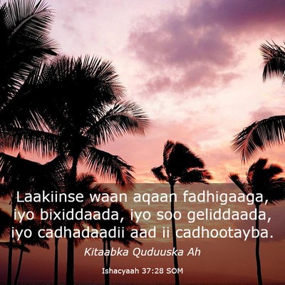 Picture 03 - Ishacyaah 37:28 SOM - Laakiinse waan aqaan fadhigaaga, iyo bixiddaada, - Bible Verse Picture