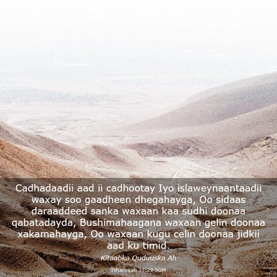 Picture 03 - Ishacyaah 37:29 SOM - Cadhadaadii aad ii cadhootay Iyo - Bible Verse Picture