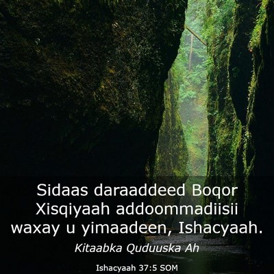Picture 03 - Ishacyaah 37:5 SOM - Sidaas daraaddeed Boqor Xisqiyaah addoommadiisii - Bible Verse Picture