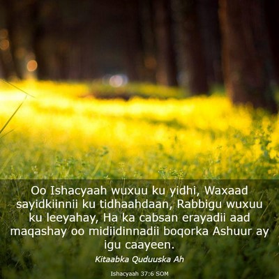 Picture 03 - Ishacyaah 37:6 SOM - Oo Ishacyaah wuxuu ku yidhi, Waxaad sayidkiinnii - Bible Verse Picture